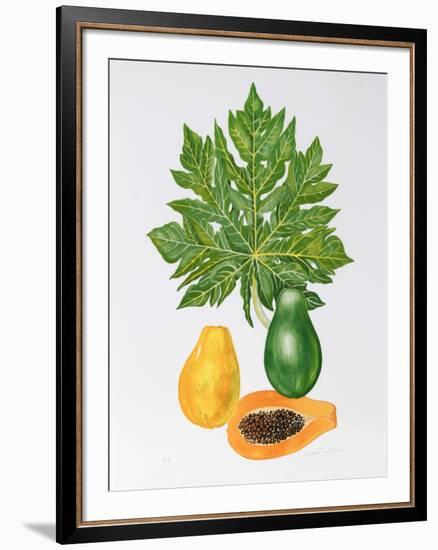 Papaya-Marion Sheehan-Framed Collectable Print