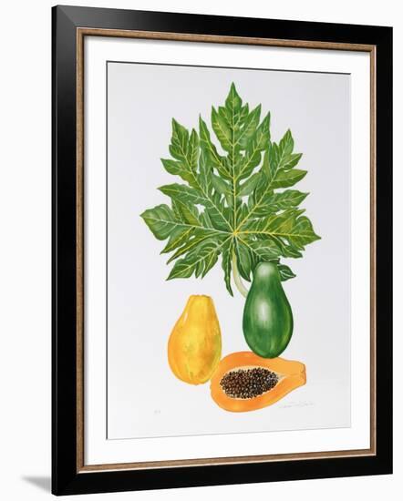 Papaya-Marion Sheehan-Framed Collectable Print