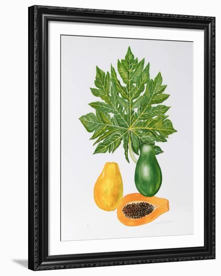 Papaya-Marion Sheehan-Framed Collectable Print