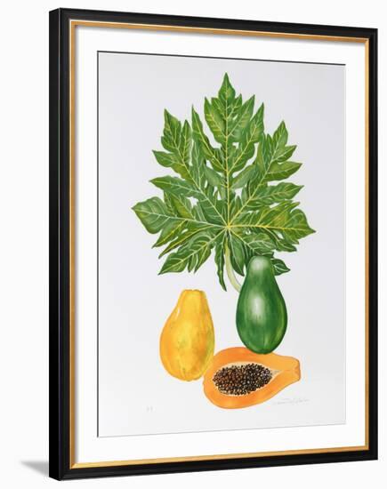 Papaya-Marion Sheehan-Framed Collectable Print