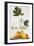 Papaya-Georg Dionysius Ehret-Framed Giclee Print