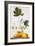 Papaya-Georg Dionysius Ehret-Framed Giclee Print