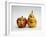 Paper Apple and Pear with Faces-Winfred Evers-Framed Photographic Print