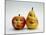 Paper Apple and Pear with Faces-Winfred Evers-Mounted Photographic Print