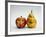 Paper Apple and Pear with Faces-Winfred Evers-Framed Photographic Print