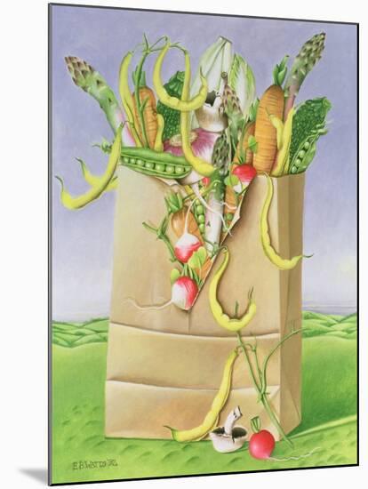 Paper Bag with Vegetables, 1992-E.B. Watts-Mounted Giclee Print