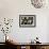 Paper Lanterns Hanging in a Barn in Charleston, SC with Thomas Edison Quote-null-Framed Photo displayed on a wall