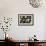 Paper Lanterns Hanging in a Barn in Charleston, SC-null-Framed Photo displayed on a wall