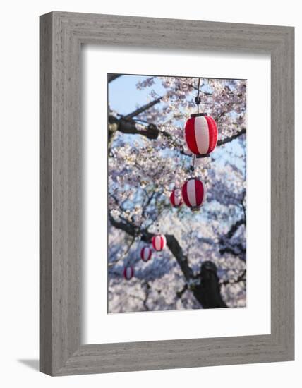 Paper lanterns hanging in the blooming cherry trees, Fort Goryokaku, Hakodate, Hokkaido, Japan, Asi-Michael Runkel-Framed Photographic Print