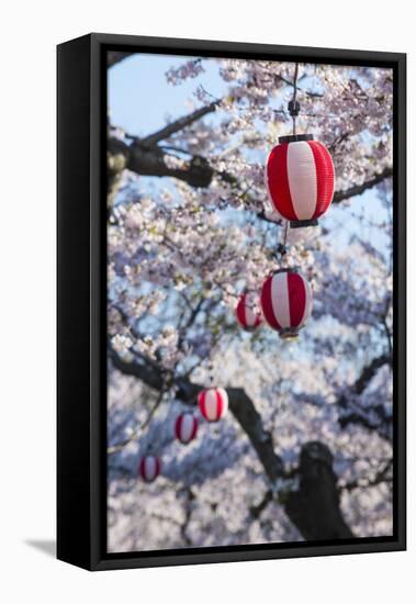 Paper lanterns hanging in the blooming cherry trees, Fort Goryokaku, Hakodate, Hokkaido, Japan, Asi-Michael Runkel-Framed Premier Image Canvas