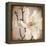 Paper Magnolia Closeup-LightBoxJournal-Framed Premier Image Canvas