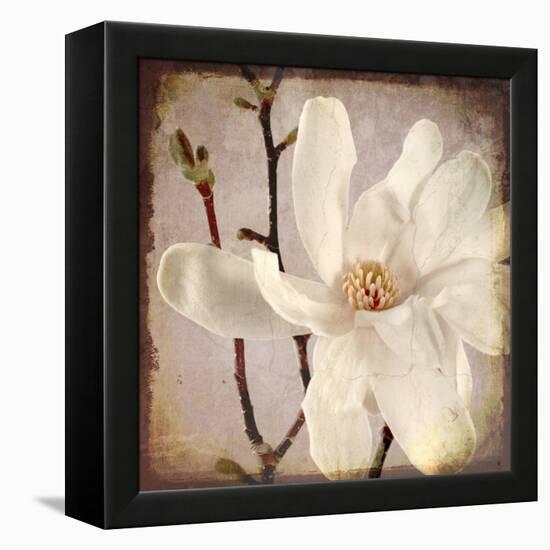 Paper Magnolia Closeup-LightBoxJournal-Framed Premier Image Canvas