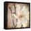 Paper Magnolia Closeup-LightBoxJournal-Framed Premier Image Canvas