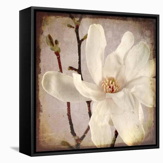 Paper Magnolia Closeup-LightBoxJournal-Framed Premier Image Canvas