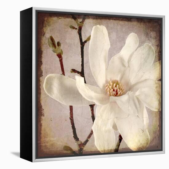 Paper Magnolia Closeup-LightBoxJournal-Framed Premier Image Canvas