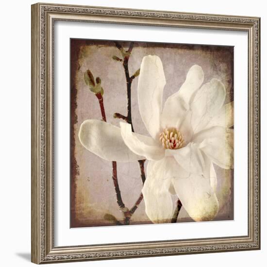 Paper Magnolia Closeup-LightBoxJournal-Framed Giclee Print