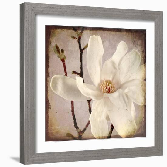 Paper Magnolia Closeup-LightBoxJournal-Framed Giclee Print