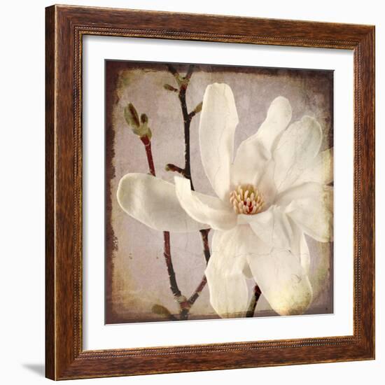 Paper Magnolia Closeup-LightBoxJournal-Framed Giclee Print