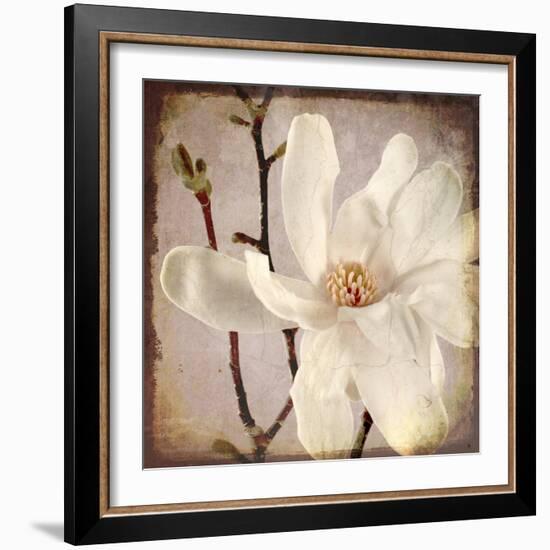 Paper Magnolia Closeup-LightBoxJournal-Framed Giclee Print