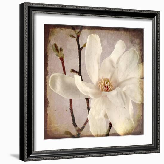 Paper Magnolia Closeup-LightBoxJournal-Framed Giclee Print