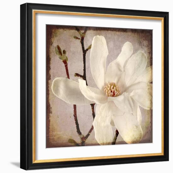 Paper Magnolia Closeup-LightBoxJournal-Framed Giclee Print