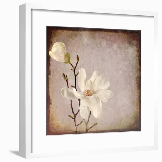 Paper Magnolia Duo-LightBoxJournal-Framed Giclee Print