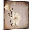Paper Magnolia Duo-LightBoxJournal-Mounted Giclee Print