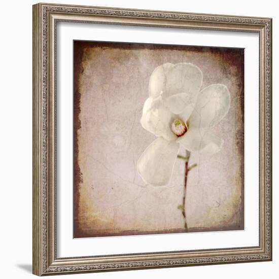 Paper Magnolia-LightBoxJournal-Framed Giclee Print