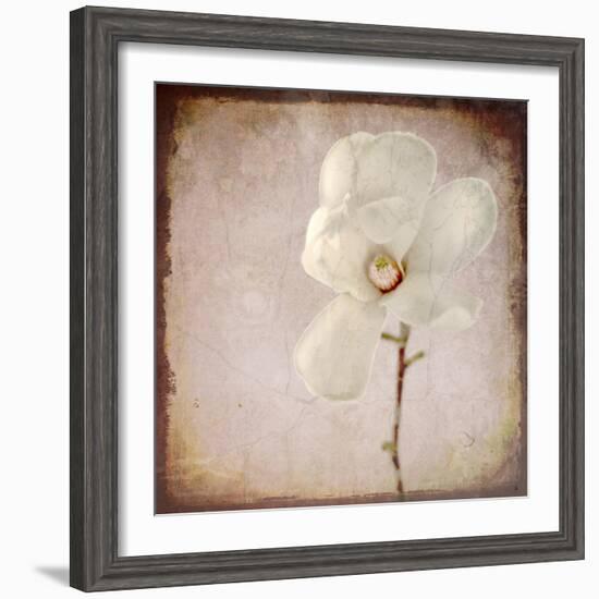Paper Magnolia-LightBoxJournal-Framed Giclee Print