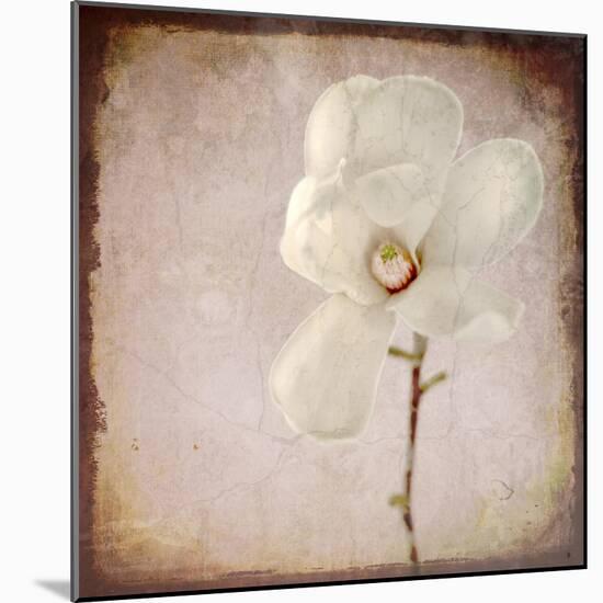 Paper Magnolia-LightBoxJournal-Mounted Giclee Print