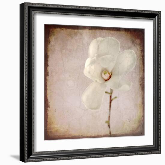 Paper Magnolia-LightBoxJournal-Framed Giclee Print