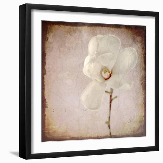 Paper Magnolia-LightBoxJournal-Framed Premium Giclee Print