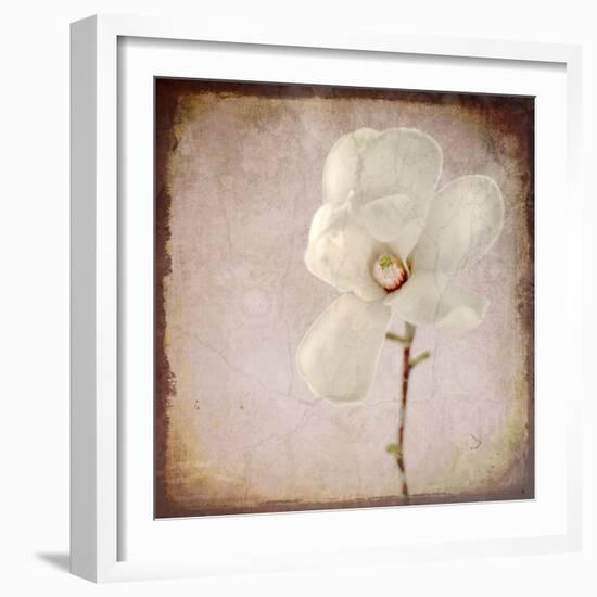 Paper Magnolia-LightBoxJournal-Framed Premium Giclee Print