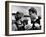 Paper Moon, Tatum O'Neal, Ryan O'Neal, 1973-null-Framed Photo