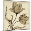 Paper Tulip II-Maria Mendez-Mounted Giclee Print