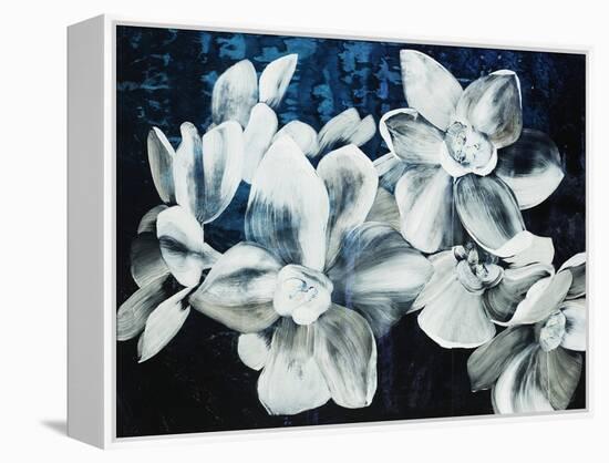 Paper Whites-Kari Taylor-Framed Premier Image Canvas