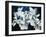 Paper Whites-Kari Taylor-Framed Giclee Print