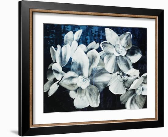 Paper Whites-Kari Taylor-Framed Giclee Print