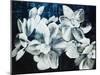 Paper Whites-Kari Taylor-Mounted Giclee Print