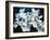 Paper Whites-Kari Taylor-Framed Giclee Print