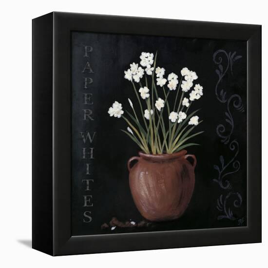 Paper Whites-Jade Reynolds-Framed Stretched Canvas