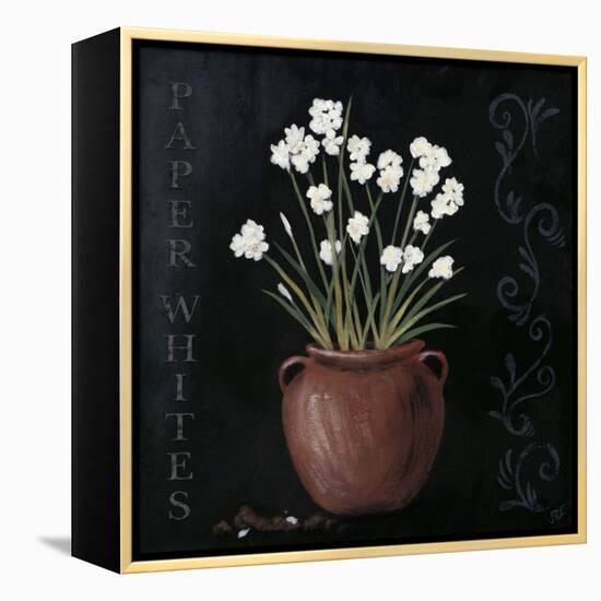 Paper Whites-Jade Reynolds-Framed Stretched Canvas