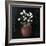 Paper Whites-Jade Reynolds-Framed Art Print