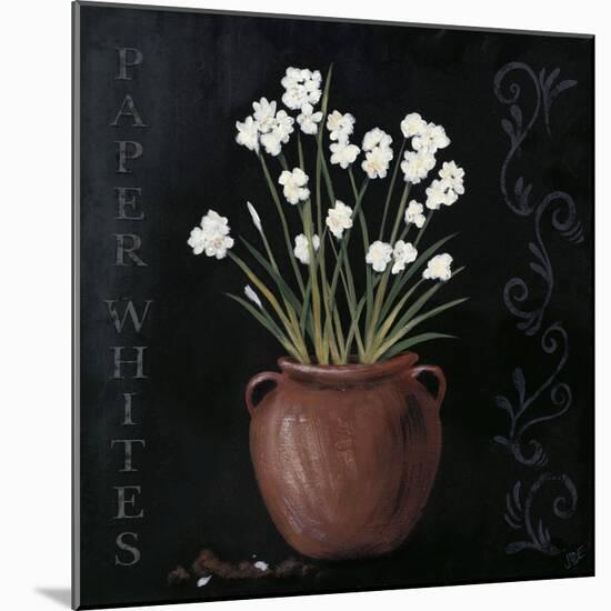 Paper Whites-Jade Reynolds-Mounted Art Print