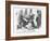 Papers! Papers! Papers!, 1864-John Tenniel-Framed Giclee Print