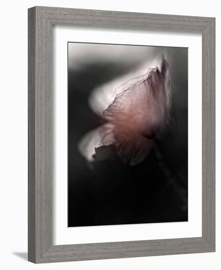 Papery-Ursula Abresch-Framed Photographic Print