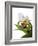 Paphiopedilum Leeanum-Fabio Petroni-Framed Photographic Print