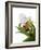 Paphiopedilum Leeanum-Fabio Petroni-Framed Photographic Print