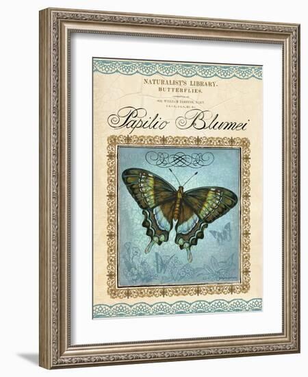 Papilio Blumei-Gregory Gorham-Framed Art Print