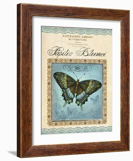 Papilio Blumei-Gregory Gorham-Framed Art Print